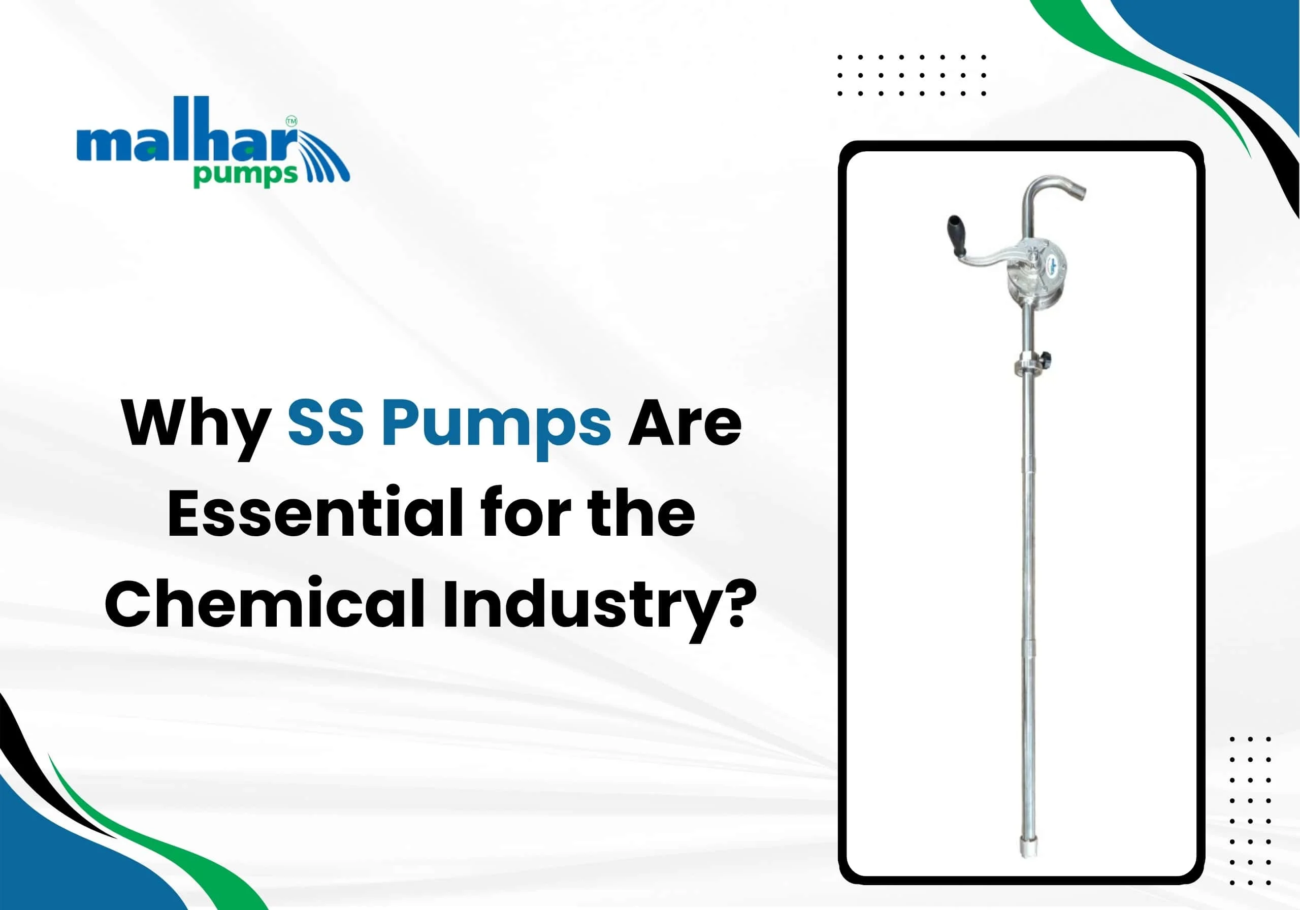 SS Pumps